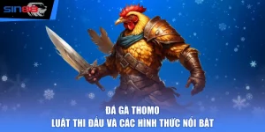 Đá Gà Thomo - Luật Thi Đấu Và Các Hình Thức Nổi Bật